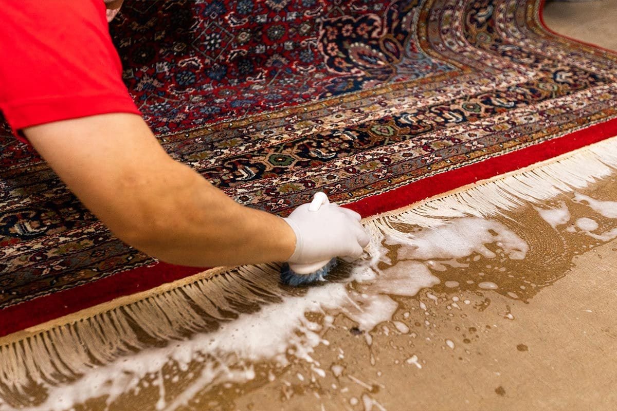 rug cleaning near me